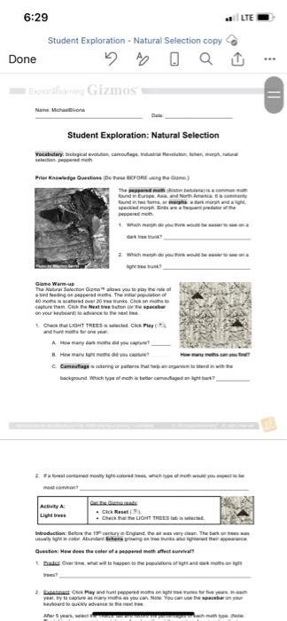 Student Exploration Natural Selection Answer Key