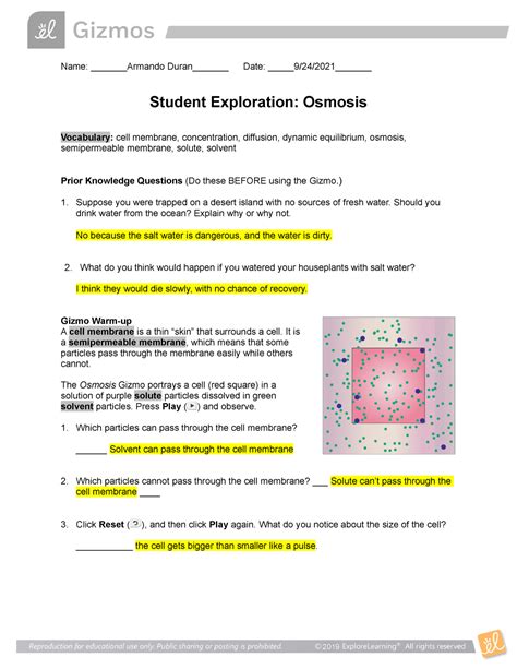 Student Exploration Osmosis Answer Key