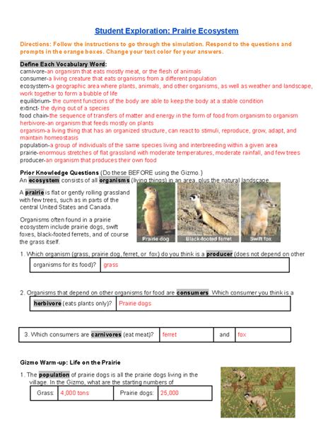 Student Exploration Prairie Ecosystem