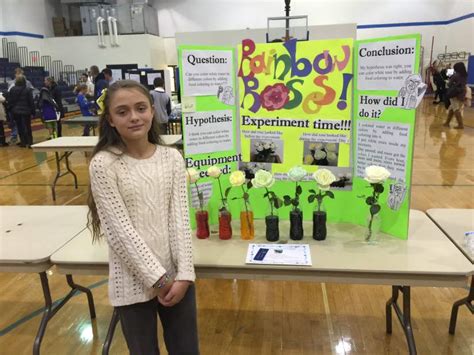 Student Projects Science Fair Central Science Experiment Questions - Science Experiment Questions