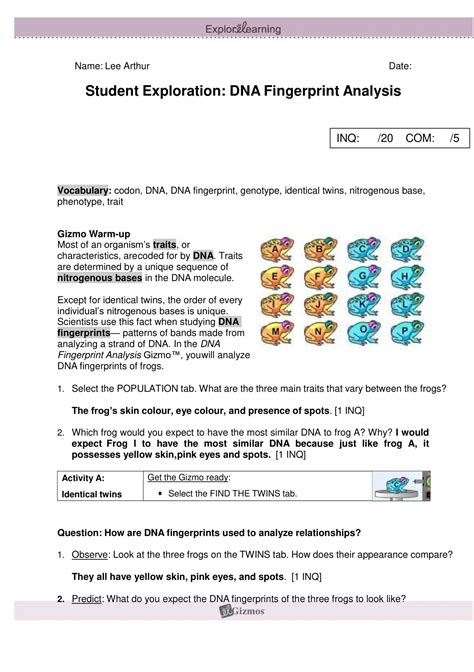 Read Online Student Exploration Dna Fingerprint Analysis Answers 