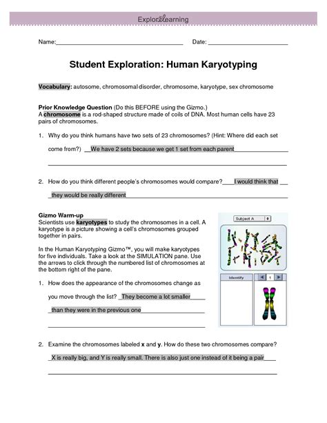 Read Student Exploration Human Karyotyping Answer Sheet 