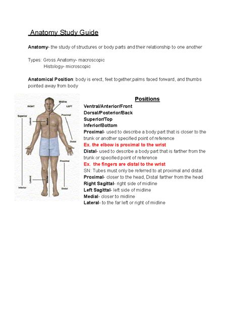 Study Guide For Anatomy And Physiology Elsevier