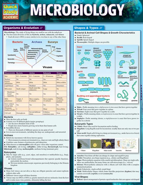 study guide for microbiology