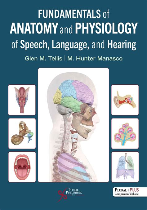 Study Of Human Speech