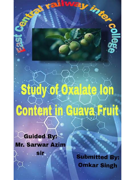 Study Of Oxalate Ion Content In Guava Fruit