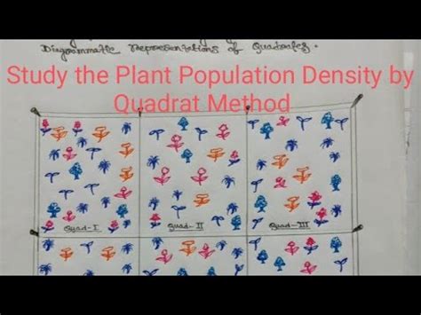 Study Of Plant Population Density By Quadrat Method