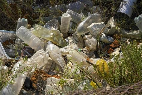 Study Raises Questions About Plastic Pollution X27 S Plastic Science - Plastic Science