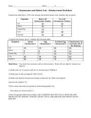 Read Online Study Guide And Reinforcement Answer Key Meiosis 