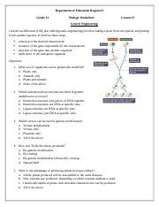 Full Download Study Guide Chapter 13 Genetic Engineering 