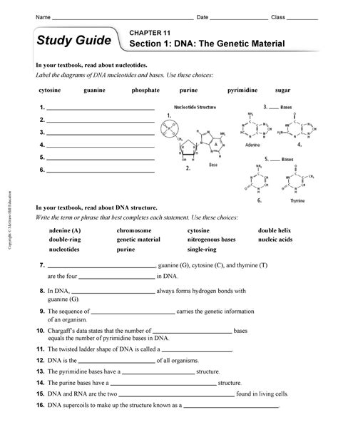 Full Download Study Guide Dna The Genetic Material Answers 