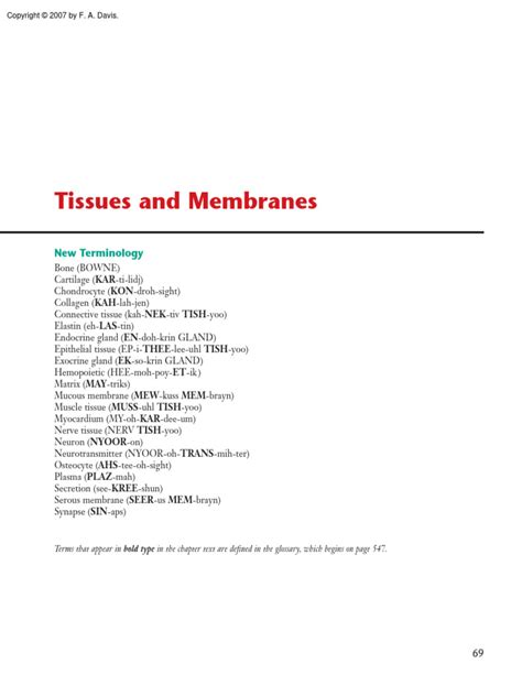 Read Study Guide For Connective Tissue 