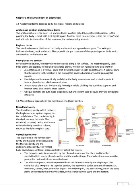 Download Study Guide For Human Anatomy Physiology Answers Chapter 
