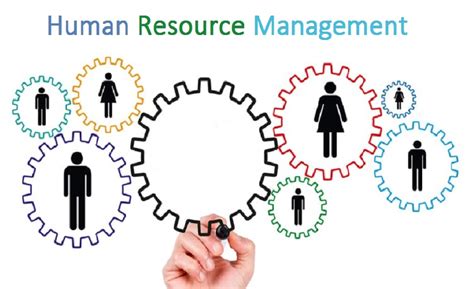 Full Download Study Guide For Human Resource Management Caibuk 