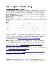 Read Online Study Guide For Kingdom Protista And Fungi 