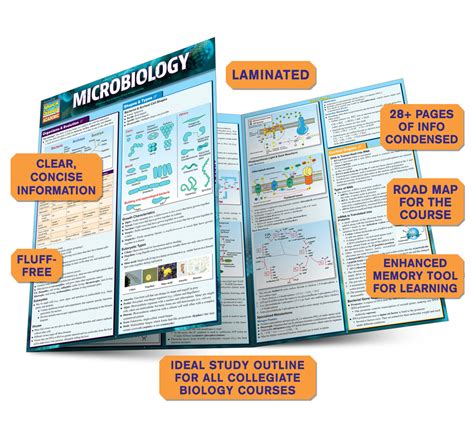 Read Online Study Guide For Microbiology Online 