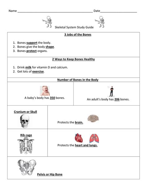 Read Online Study Guide For Unit 2 Hsa Teacherweb 