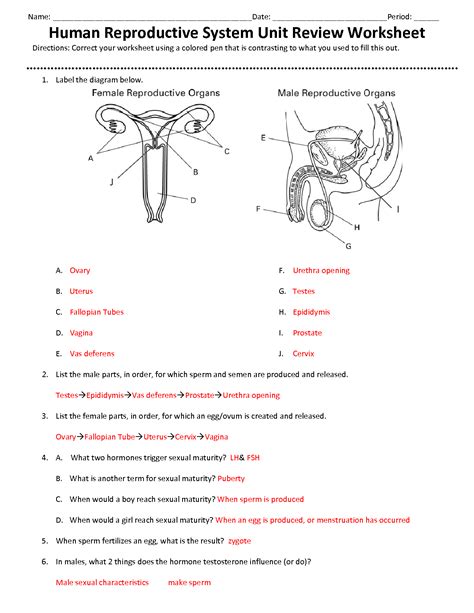 Full Download Study Guide Reproductive System Answer Key 