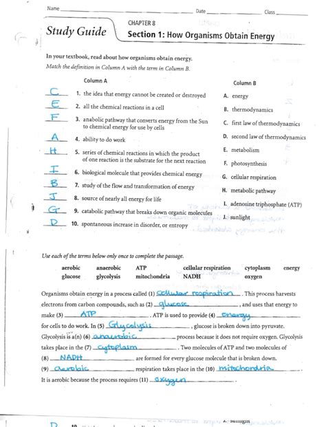 Read Online Study Guide Section 2 Photosynthesis Answer Key 