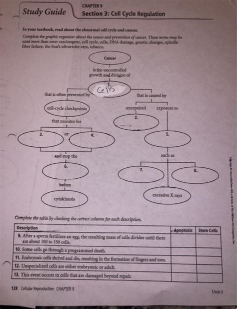 Read Study Guide Section 3 Cell Cycle Regulation 
