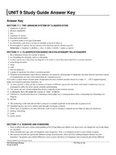 Download Study Guide Weebly 