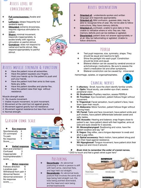 Full Download Study Guides 