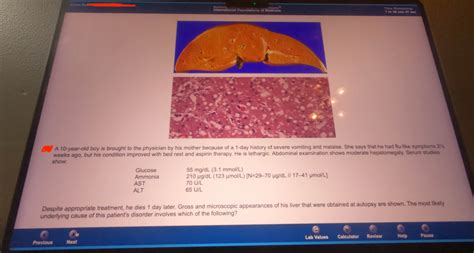 Download Study Material For Ifom Exam 