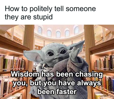 Stupid Funny Memes