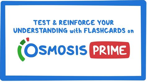 Style Guide Writing Great Flashcards Osmosis Help Center Writing Flashcards - Writing Flashcards