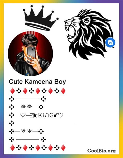 Stylish Bio For Fb For Boy