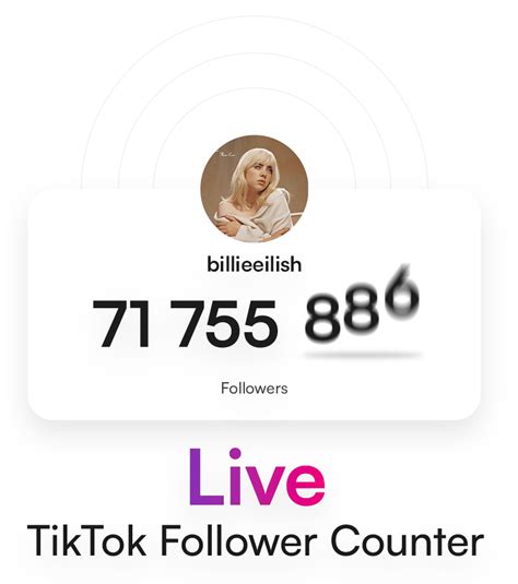 subscriber count tiktok