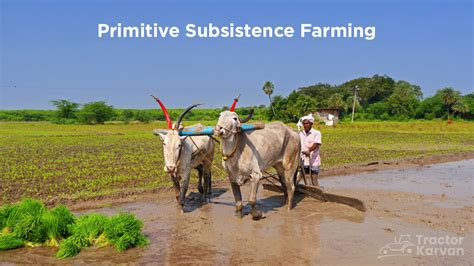 Subsistence Farming Is Characterized By