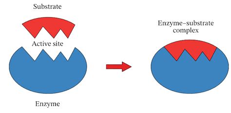 Substrate Definition Chemistry