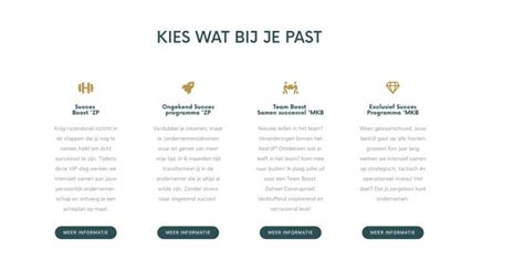 succesprogramma definitie