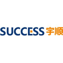Success In Electronics
