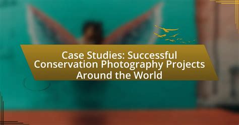 successful conservation projects