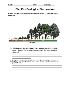 Succession Activity Answer Key Free Download On Line Primary And Secondary Succession Worksheet Answers - Primary And Secondary Succession Worksheet Answers