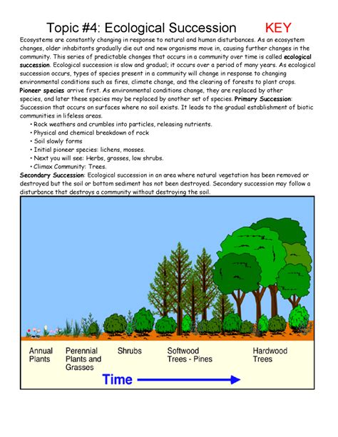 Succession Worksheet Answers Key Exercises Ecology And Docsity Succession Worksheet Answer Key - Succession Worksheet Answer Key