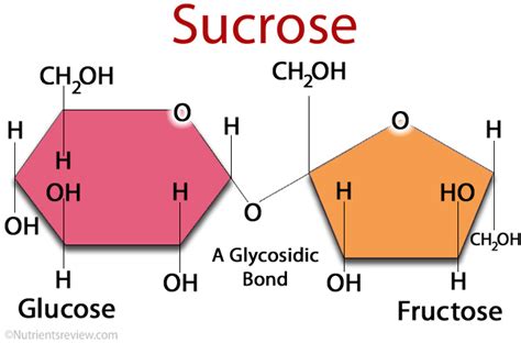 sucrose | Sucrose CASNo57501 500G Vijalab