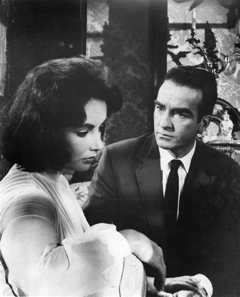 Suddenly Last Summer