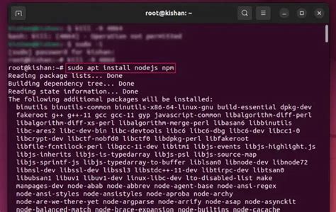 sudo install nodejs