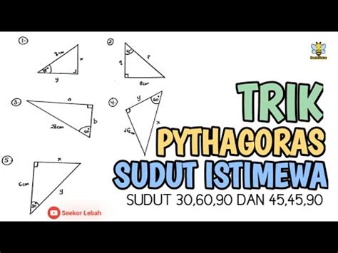 sudut istimewa pythagoras biography