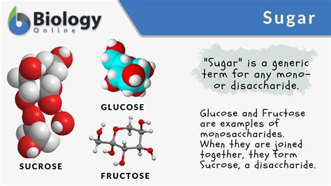 Sugar Definition Types Formula Processing Uses Amp Facts Sugar Science - Sugar Science