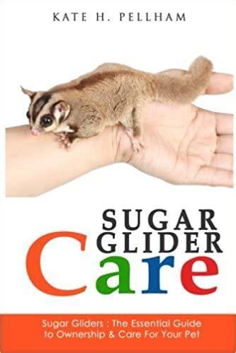 sugar gliders the essential guide to ownership ca