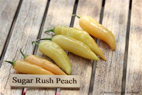 sugar rush peach samen