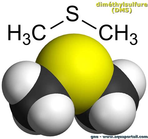 sulfure de diméthyle - Ineris