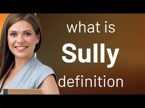Sully Definition Nyt