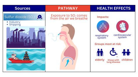 sulphur dioxide sources and effects