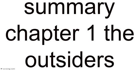 Summary Chapter 1 The Outsiders