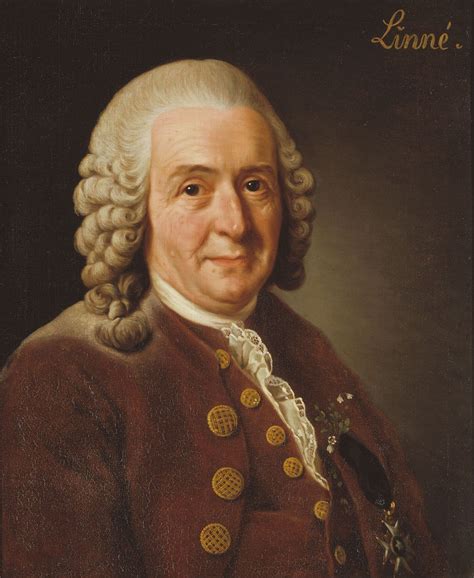 summary of carl linnaeus biography